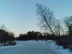 IMG_20260316_175809.jpg