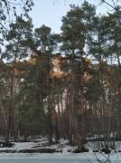 IMG_20260316_180052.jpg