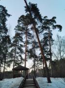 IMG_20260316_182302.jpg