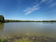 IMG_20260630_141154.jpg