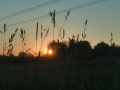 IMG_20260630_205425.jpg